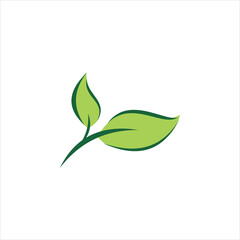 green nature leaf logo design