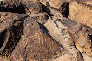 Sunny view of the beautiful landscape around Petroglyph Canyon Trail