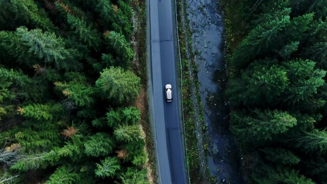 Aerial forest nature car road top view green summer woods tree car flight transportation, driving. Countryside, landscape, mountain highway beautiful scenic.
