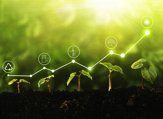 Young  plants growing at sunlight with increase graph and icons energy sources for renewable. Sustainable development. Environment and ecology concept. 