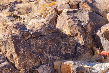 Sunny view of the beautiful landscape around Petroglyph Canyon Trail