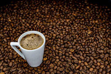 
a cup of coffee among roasted coffee beans