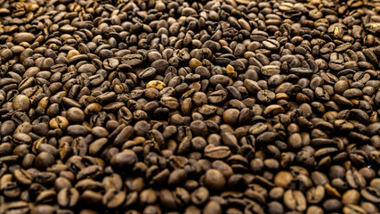 
a cup of coffee among roasted coffee beans