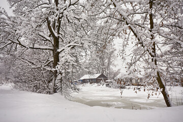 Winter rural scene. House near frozen lake. Hut on January lakeside.