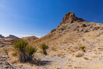 Sunny view of the beautiful landscape around Petroglyph Canyon Trail