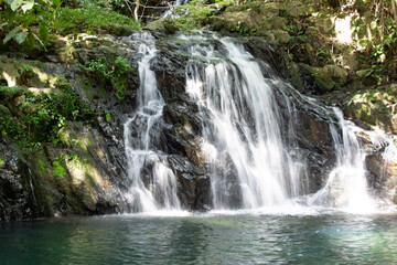 Fototapeta na wymiar waterfall in the jungle in Belize