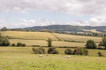British countryside landscape with clouds
