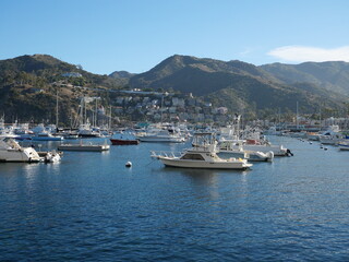 Fototapeta na wymiar Boats in Catalina Island