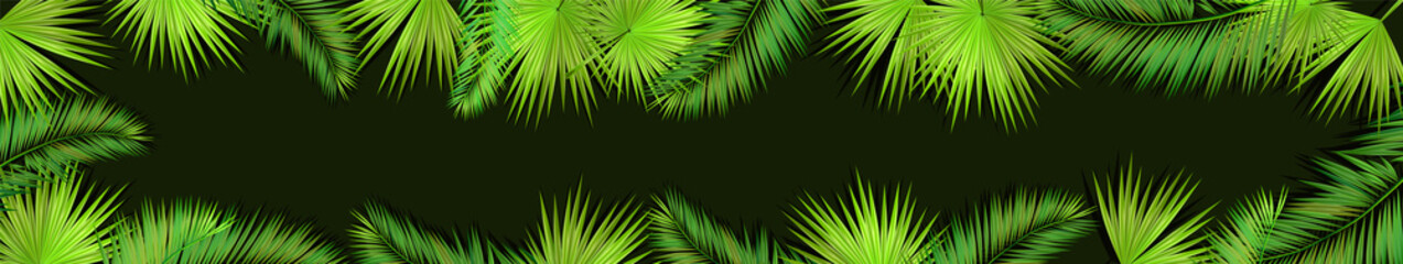 A Long horizontal frame of palm leaves. Hello summer. Vector illustration
