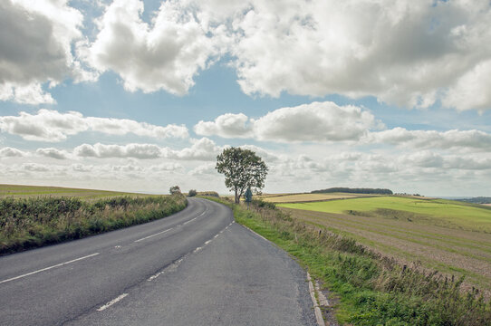 Wiltshire countryside in the summertime.