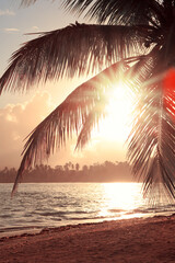 Tropischer Sonnenaufgang mit Kokospalmen und karibischem Meer.