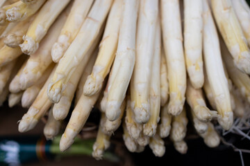White asparagus detail