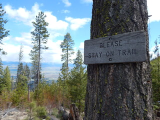 sign in the forest
