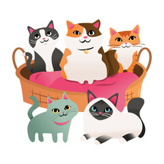 Cartoon Five Cats Around Pet Bed