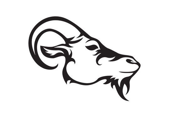 Ram head outline. Vector goat animal illustration, silhouette isolated on white background for team and brand logo or tattoo