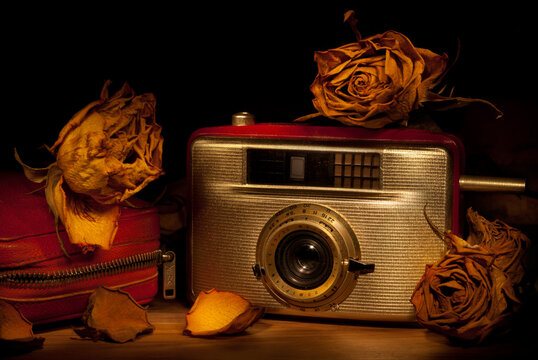 Retro camera among dried roses