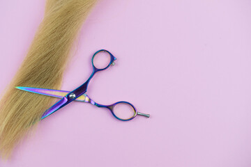 Professional hair dresser tools with copy space on trendy pink background. Stylist equipment set....