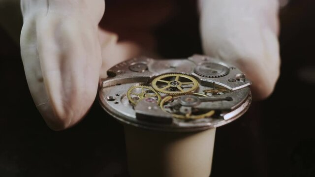 Mechanical watch repair process. Open pocket wristwatch. Watchmaker adjust watch. Precise occupation. High accuray level