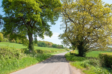 Fototapeta na wymiar Summertime country lane in the English countryside.