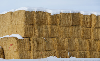 Stack of Square Hay Bales in Winter on Farm in Idaho