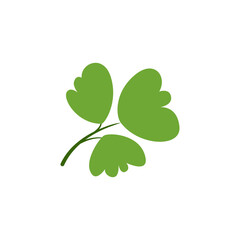 Parsley Vector Illustration