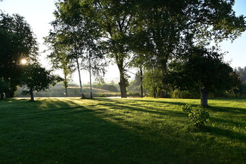 Wiese und Natur in Broceni, Lettland, Latvia, Nebelschwaden