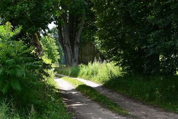 Wald und Wiese im Gaujas Nationalpark, Lettland, Latvia
