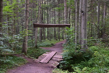 Cecīļi Nature Trail, Cecīļu dabas taka, Cecili-Wanderung in Lettland, verwunschener Wald, Gauja Nationalpark