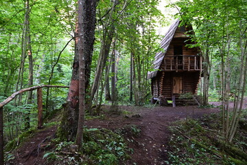 Cecīļi Nature Trail, Cecīļu dabas taka, Cecili-Wanderung in Lettland, verwunschener Wald, Gauja Nationalpark