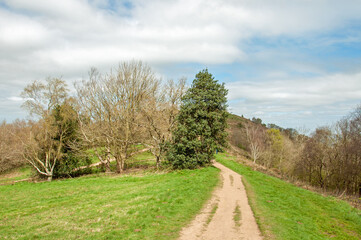 Fototapeta na wymiar Pathway along the Malvern hills in the Springtime.