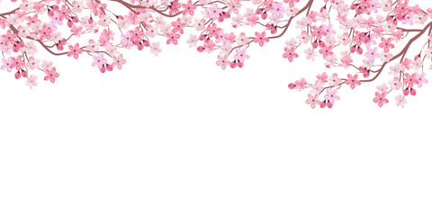 桜　春　花　背景 © J BOY