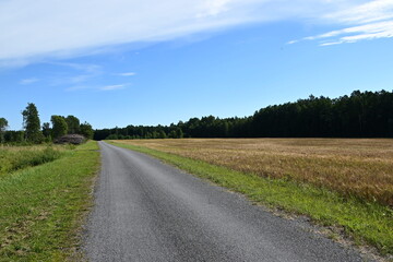 Fototapeta na wymiar Insel Hiiumaa, Estland