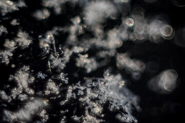 snowflakes macro