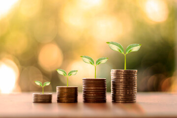 Tree growing on coin pile and blurred green nature background money growth concept and business...