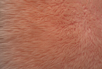 close up of  rose fur texture
