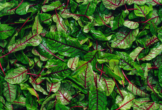 chard leaves background