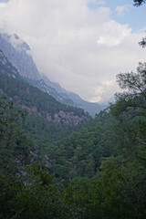Fototapeta na wymiar Forest, Hills, and mountains at the Goynuk, Antalya