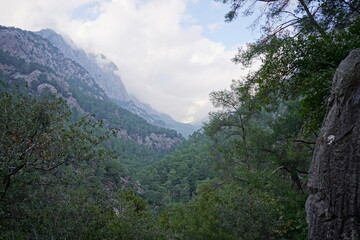 Fototapeta na wymiar Forest, Hills, and mountains at the Goynuk, Antalya