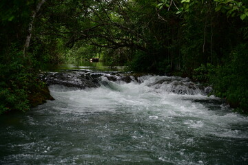 CORREDEIRA