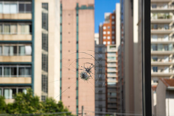 Fototapeta premium Bulletproof glass for homes and cars