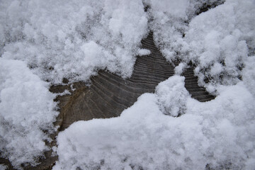 Old gray wood covered with snow.