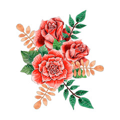 Watercolor red roses bouquet composition isolated on white background.