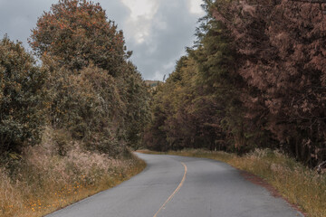 Fototapeta premium nevado