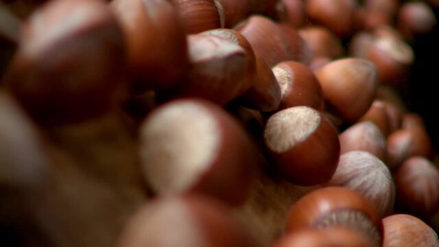 Shelled hazelnuts on wooden surface move in to camera in slow motion. Macro.Hazelnuts are coming towards the camera.