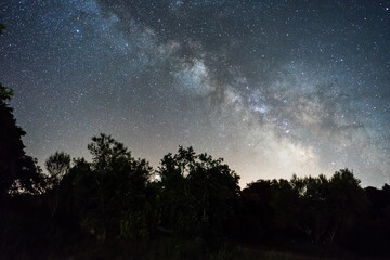 Fototapeta premium Forest Night Scene in Spain