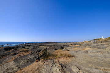 Fototapeta na wymiar 神奈川県城ヶ島の海岸