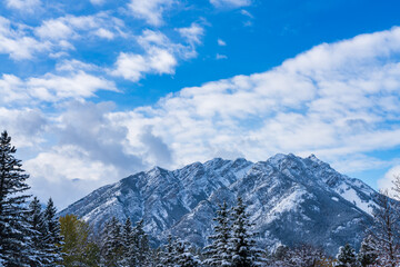 Fototapeta premium Close up snow-covered Mount Norquay with snowy forest over blue sky and white clouds in winter sunny day. Banff National Park beautiful landscape. Canadian Rockies, Alberta, Canada.