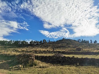 Fototapeta premium vineyard in region