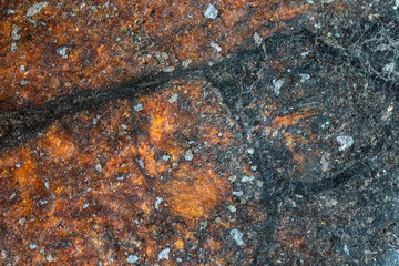 Inside slice of Chondrite Meteorite L Type isolated, piece of rock formed in outer space in the...