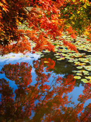 【福島】秋の蛇の鼻遊楽園の紅葉
